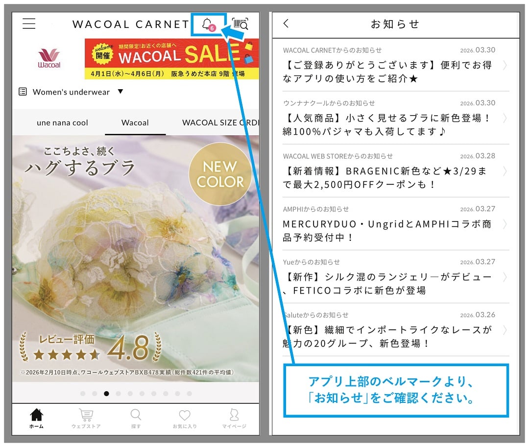 carnet_tsuchi-03.jpg