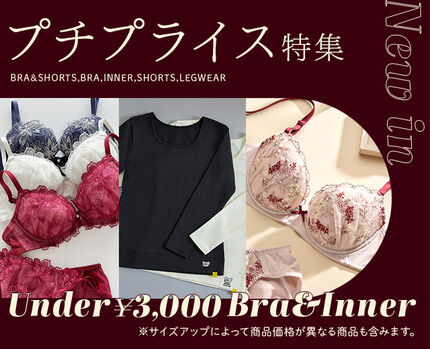 プチプライス特集