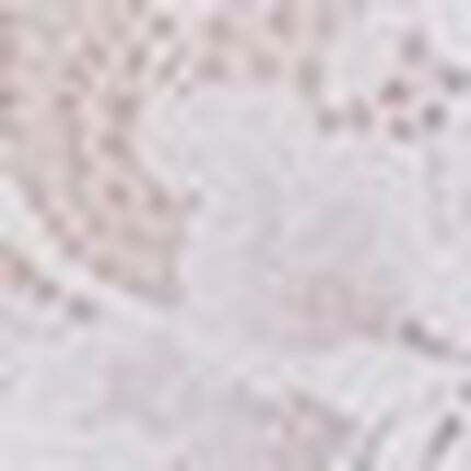 ソング, , swatch