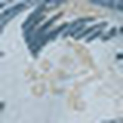 ショーツ, , swatch