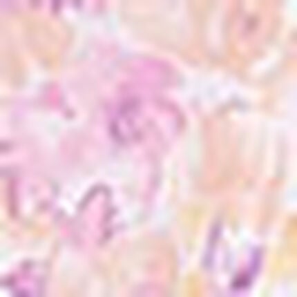 綿１００％　ダブルガーゼのパジャマ, , swatch