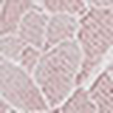 ブラジャー, , swatch