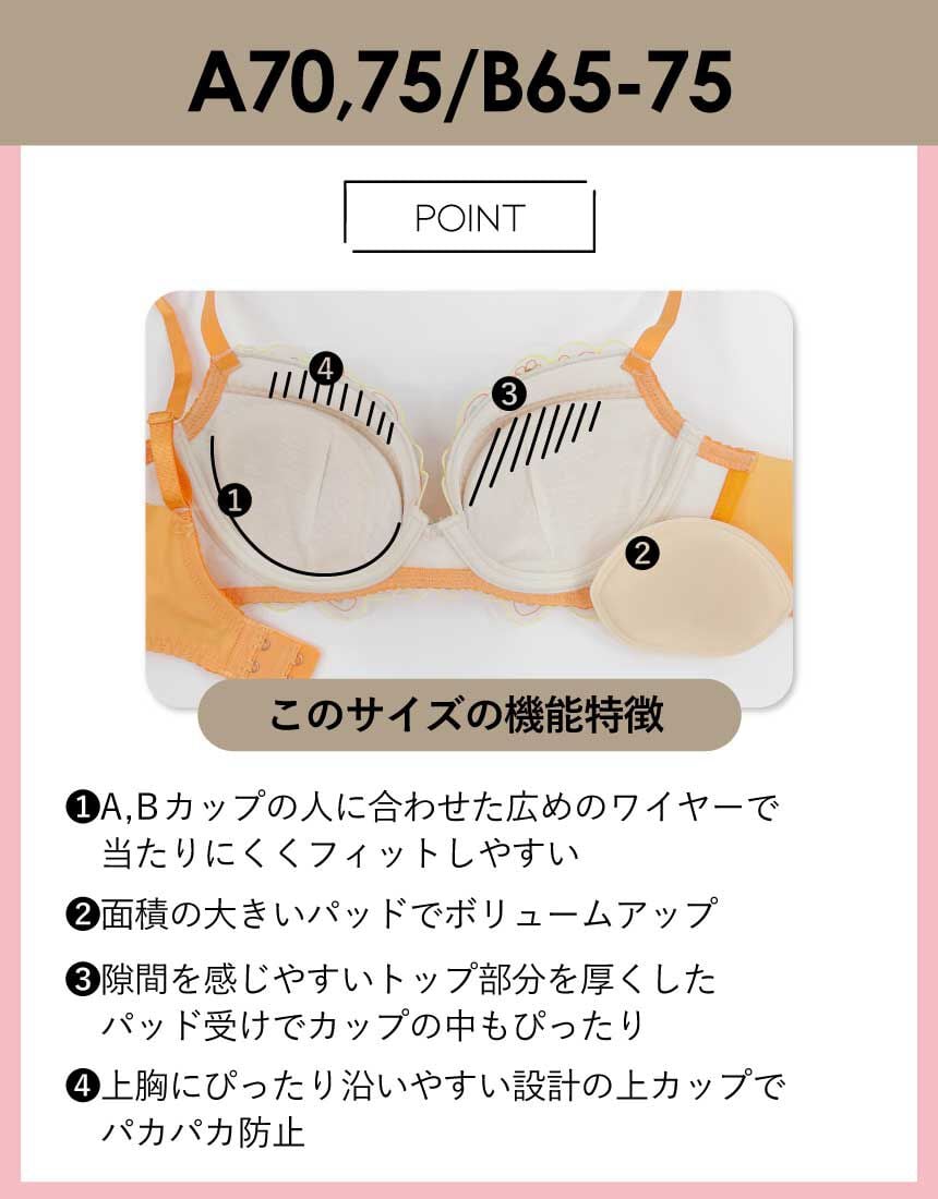 アンフィ 4つのサイズ別設計から生まれたあなたのためのブラ