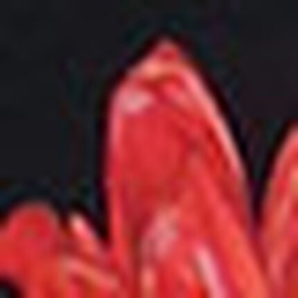 ブリーフ（前閉じ）, , swatch