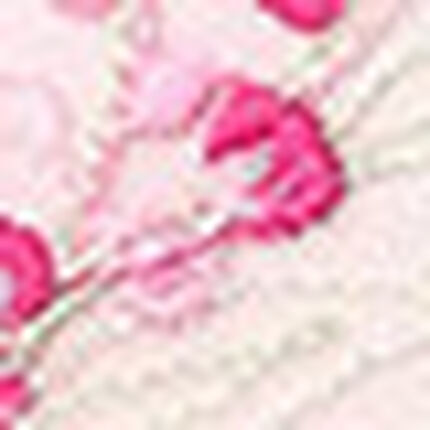 ショーツ, , swatch