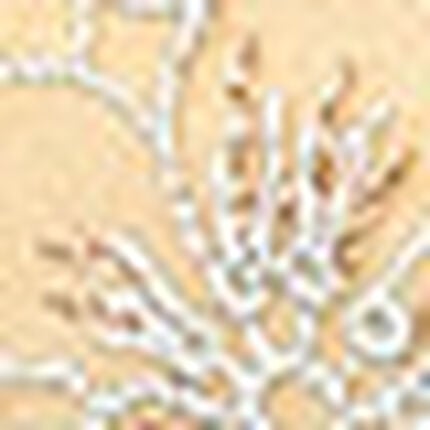 ３／４カップブラ, , swatch