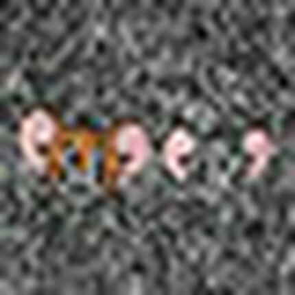 セットアップ, , swatch