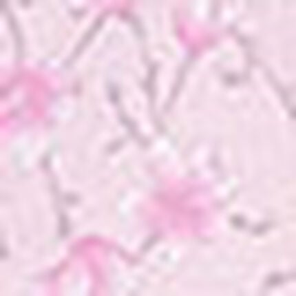 パジャマ, , swatch
