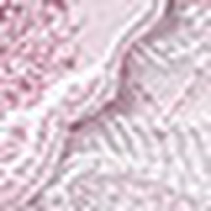 Ｔバックショーツ, , swatch