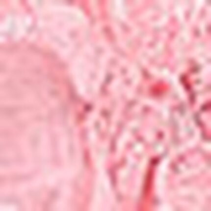 ガーターベルト, , swatch