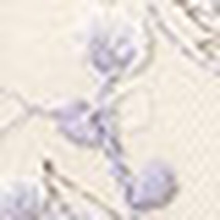 ショーツ, , swatch