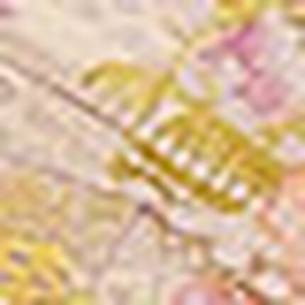 ノンワイヤーブラ, , swatch