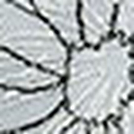 ショーツ, , swatch