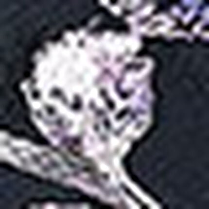 ３／４カップブラ, , swatch