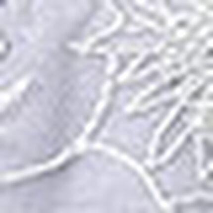 Ｔバックショーツ, , swatch