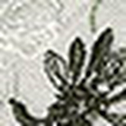 ワイヤーブラ（３／４カップ）, , swatch