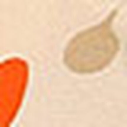 ハーフトップブラ, , swatch