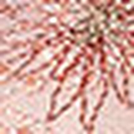 ３／４カップブラ（ノンワイヤーブラ）, , swatch