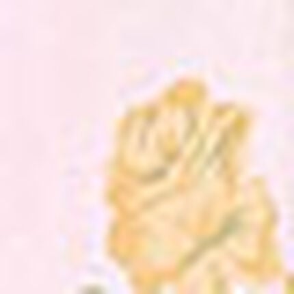 パジャマ, , swatch