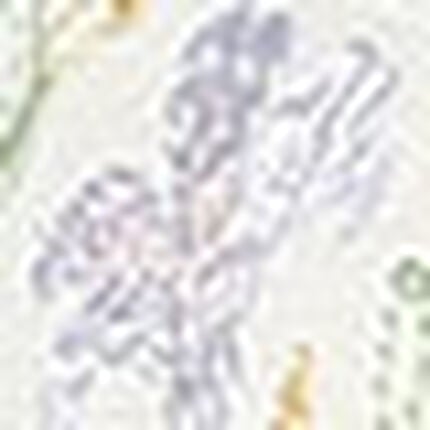 ３／４カップブラ, , swatch