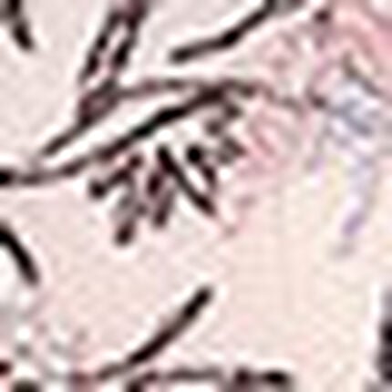 ３／４カップブラ（ノンワイヤーブラ）, , swatch