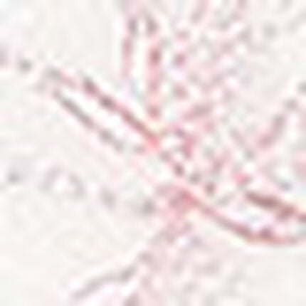 フルカップブラ, , swatch