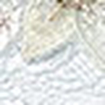 Ｔバックショーツ, , swatch