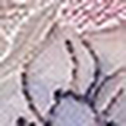 ショーツ, , swatch