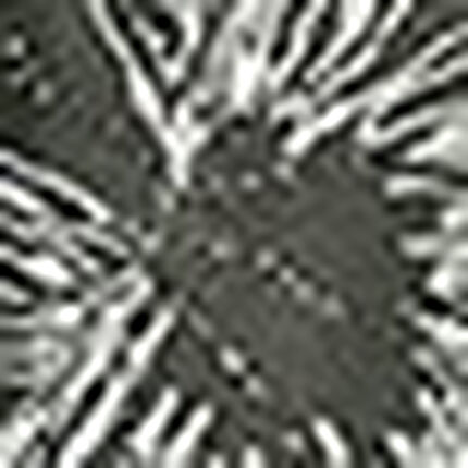 Ｔバックショーツ, , swatch