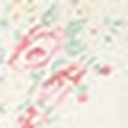 ノンワイヤーブラ, , swatch