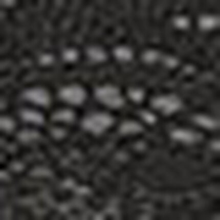 ショーツ, , swatch