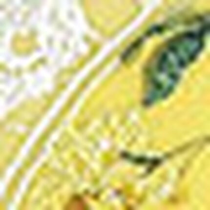 ボーイレングスショーツ, , swatch