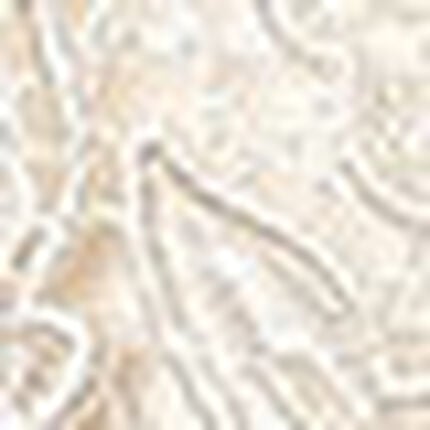 Ｔバックショーツ, , swatch