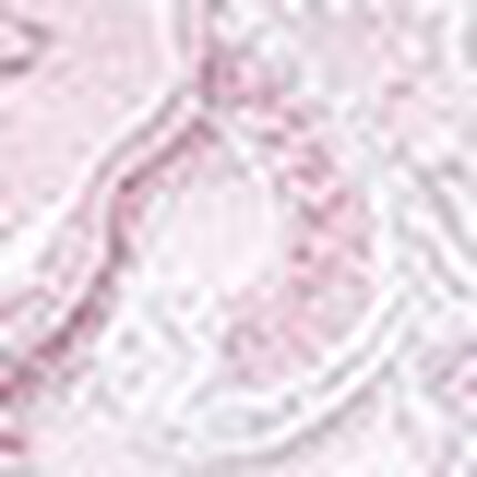 ショーツ, , swatch