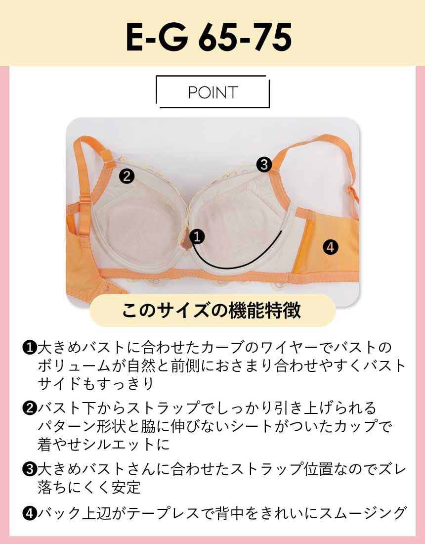 アンフィ 4つのサイズ別設計から生まれたあなたのためのブラ
