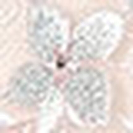 ブラ＆ショーツセット, , swatch