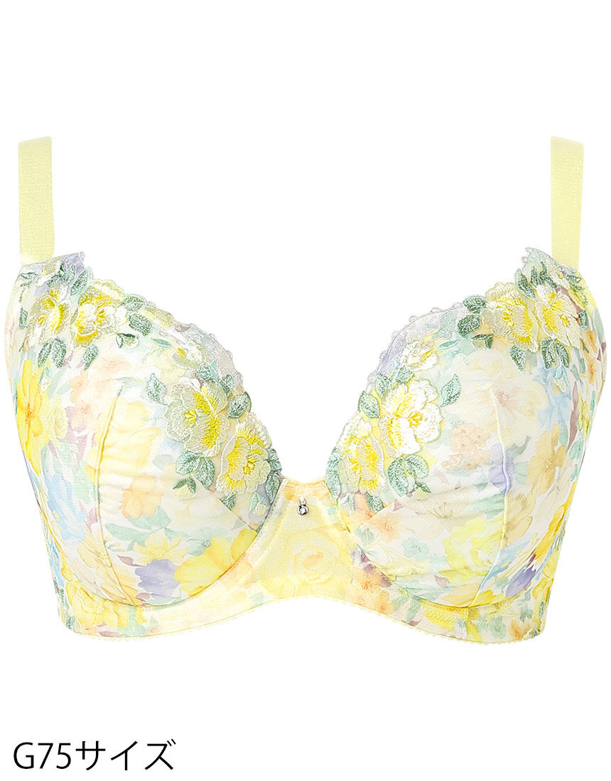 ４／５カップブラ, , hi-res