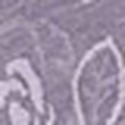 ルームウェア, , swatch