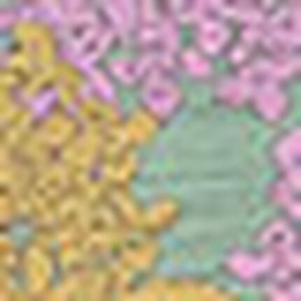 パジャマ, , swatch