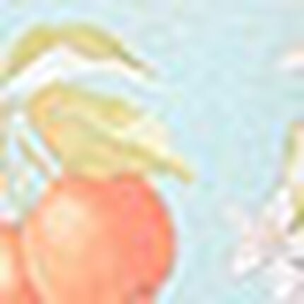 パジャマ, , swatch