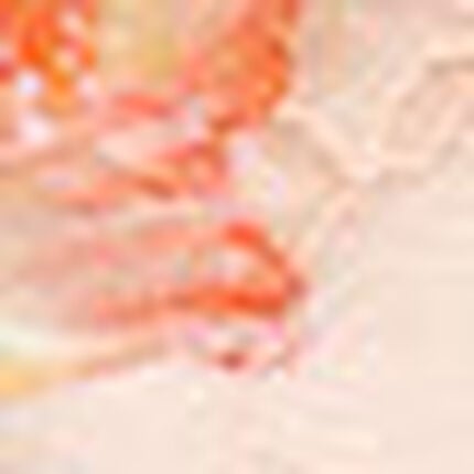 Ｔバックショーツ, , swatch