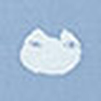 パジャマ, , swatch