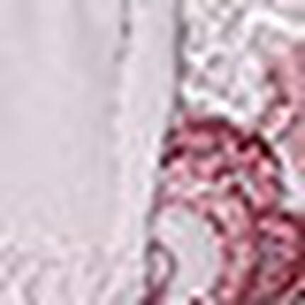 ショーツ, , swatch