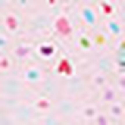 パジャマ, , swatch