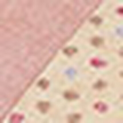 洛中高岡屋　ブーメランクッション, , swatch