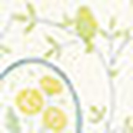 パジャマ, , swatch