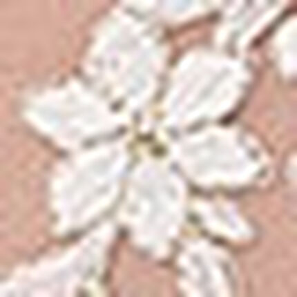 ショーツ, , swatch