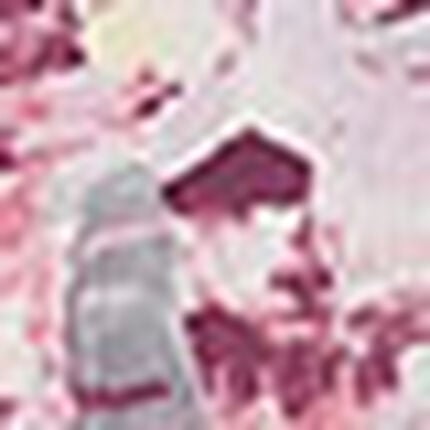 アウター　トップス, , swatch