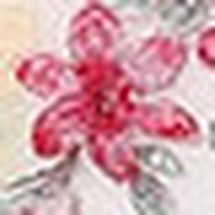 ショーツ, , swatch