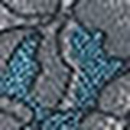 Ｔバックショーツ, , swatch